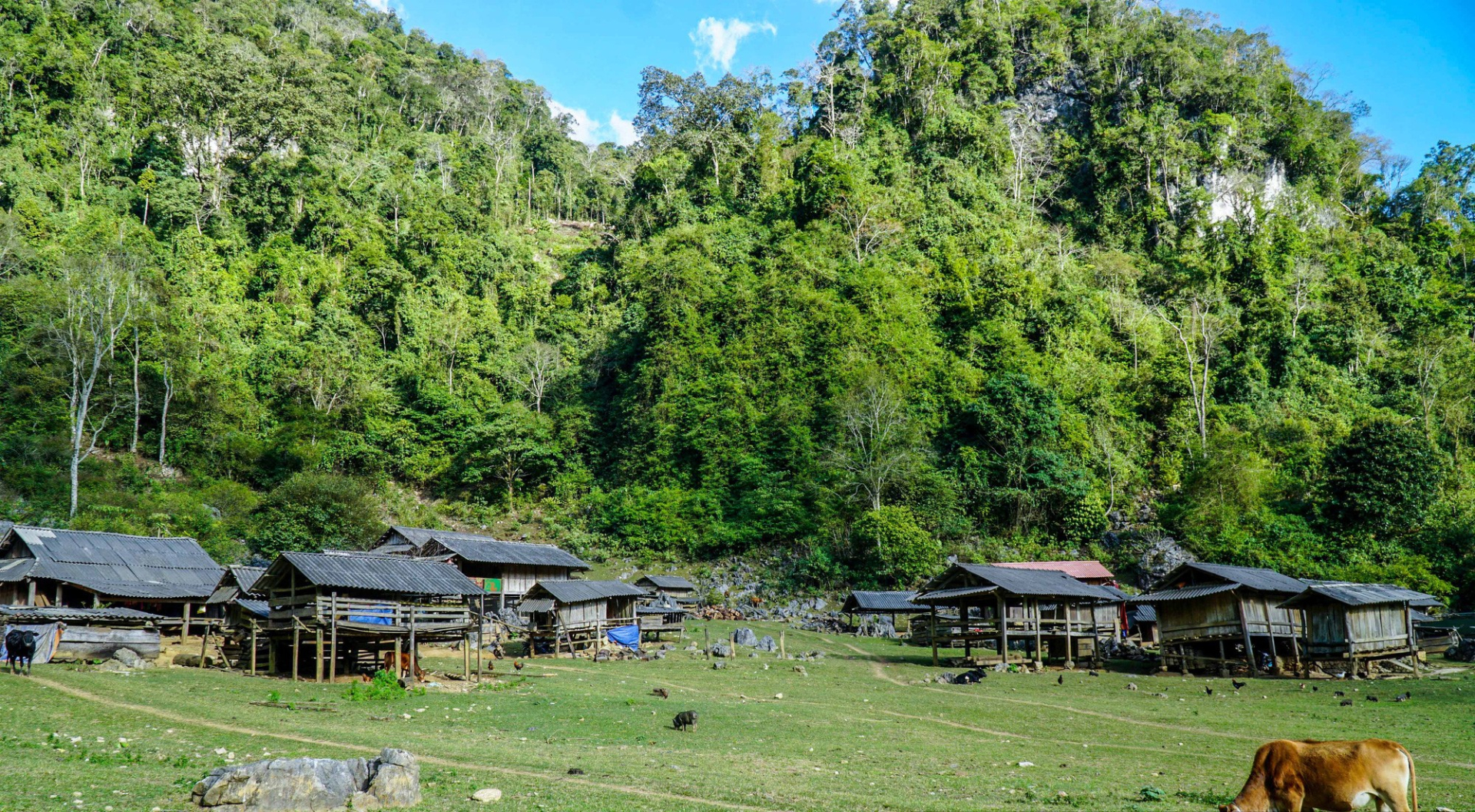 Bao quanh các ngôi nhà là núi rừng xanh mướt, ở giữa thung lũng có một đồng cỏ bao la, không khí mát mẻ
