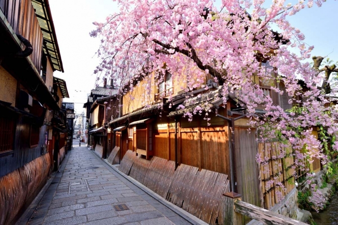 Ảnh: Zekkei Japan