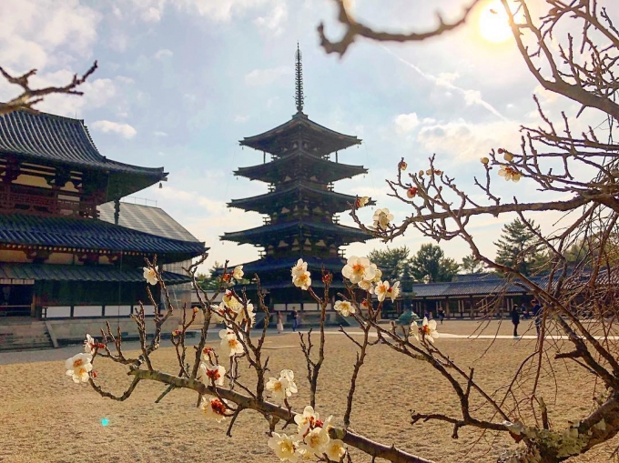 Hōryū-ji là quần thể di sản văn hóa thế giới được UNESCO công nhận (Ảnh: @angelparis1995)