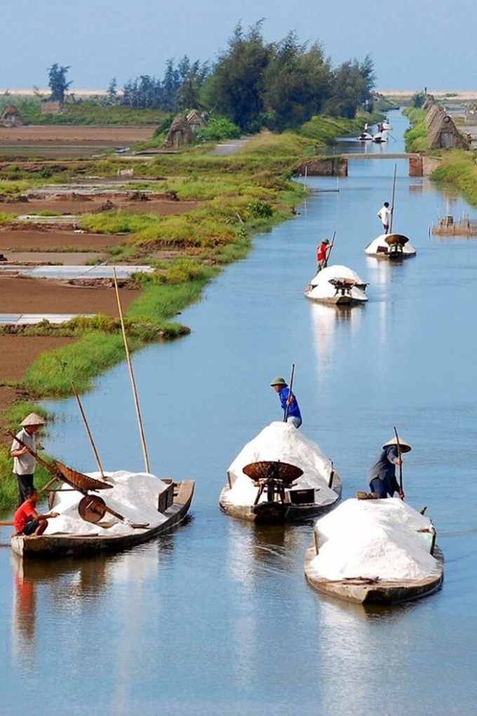 canh-dong-muoi7