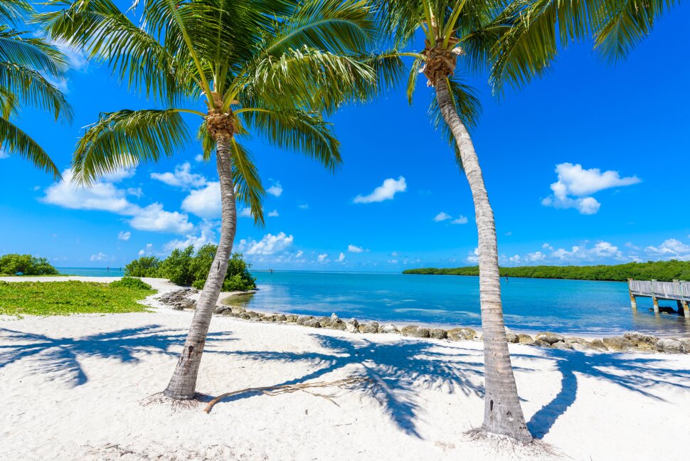 Bãi biển Florida Keys nổi tiếng với những cảnh đẹp tuyệt vời, từ nước biển trong xanh đến cá rực rỡ. Hãy xem những hình ảnh để tận hưởng vẻ đẹp của bãi biển này và ngắm nhìn những sinh vật đang trôi dạt trên bãi biển.