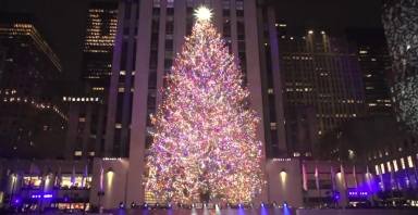 3 triệu ngôi sao pha lê sẽ thắp sáng cây thông Noel ở New York