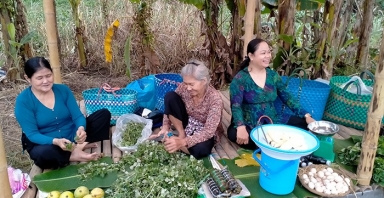 Tour du lịch chợ quê cồn Tân Thuận Đông, Đồng Tháp sắp ra mắt