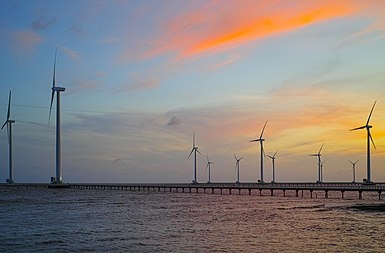 Những cánh đồng quạt gió ở Việt Nam có cảnh đẹp tựa trời Tây