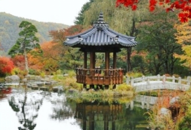 Thưởng thức sắc hoa ngợp trời tại Vườn hoa Morning Calm