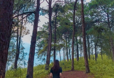 Tìm về bình yên nơi đồi thông Khau Lừa, “góc Đà Lạt” cực chill