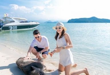 Phát sốt với đàn heo trên đảo Koh Madsum Thái Lan siêu đáng yêu
