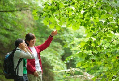 Khám phá Shiso - Điểm đến tuyệt vời cho những tâm hồn cần chữa lành