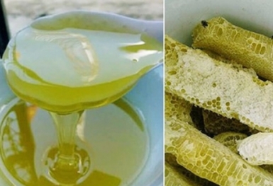 Du lịch Hà Giang nhớ tặng mật ong bạc hà cho miền xuôi