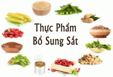 Những thực phẩm tự nhiên bổ sung máu rất tốt cho cơ thể cần phải biết