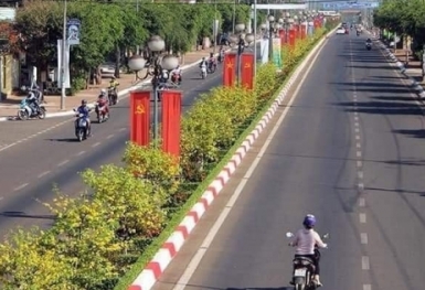 Dải phân cách mai vàng ở Bà Rịa - Vũng Tàu: 'Nhìn là thấy Tết'