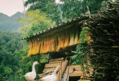 Khám phá làng cổ Thiên Hương hơn 100 năm tuổi ở Đồng Văn