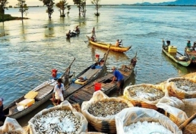 Đặc sản Miền Tây - Món ngon nhất định phải thưởng thức