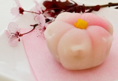 Top 7 món ăn từ hoa anh đào nhất định phải thử khi đến Nhật Bản