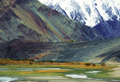Vẻ đẹp diệu kỳ của những địa điểm du lịch Ladakh