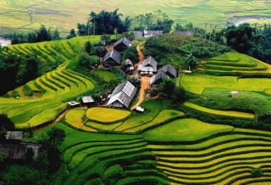Nét đẹp dịu dàng, thơ mộng của bản Hồ Sapa