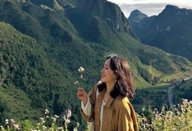 Lên Hà Giang ngắm mùa hoa tam giác mạch