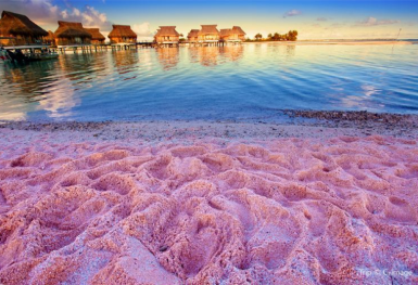 Du lịch Bahamas không thể bỏ qua những địa điểm này