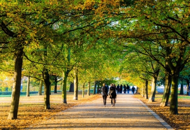 Những công viên đẹp ở London mà bạn nên khám phá
