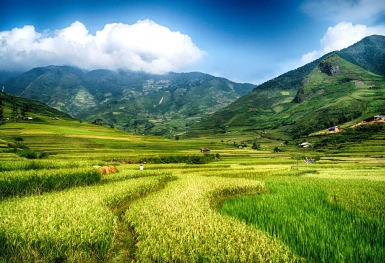 Tung tăng ở bản Chao Hạ tận hưởng nhịp sống Tây Bắc
