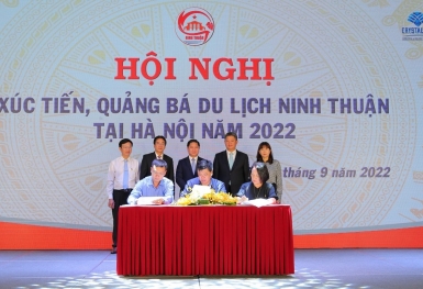 Ninh Thuận: Điểm đến xanh và khác biệt chỉ có duy nhất ở Việt Nam