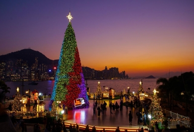Điểm danh những cây thông Noel hoành tráng nhất thế giới