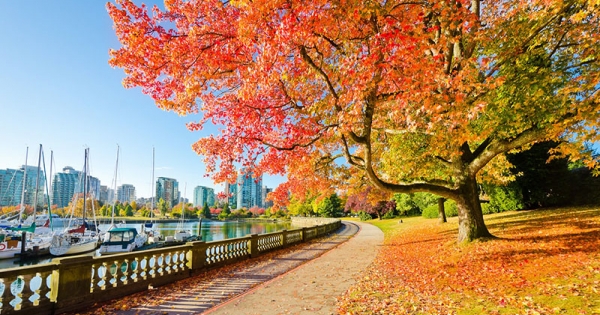 5 địa điểm đẹp nhất để ngắm lá mùa thu Canada
