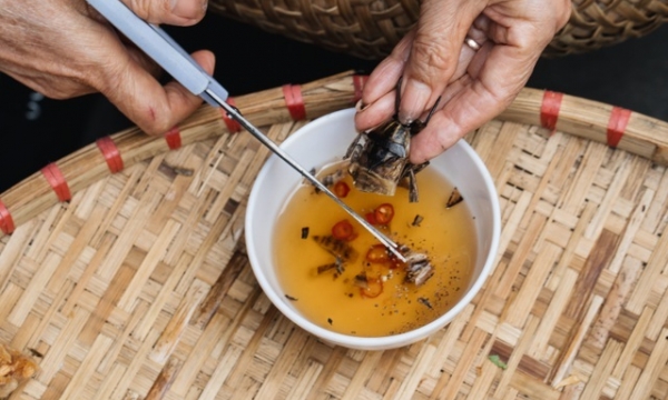 Bánh cuốn cà cuống gây nghiện thực khách sành ăn