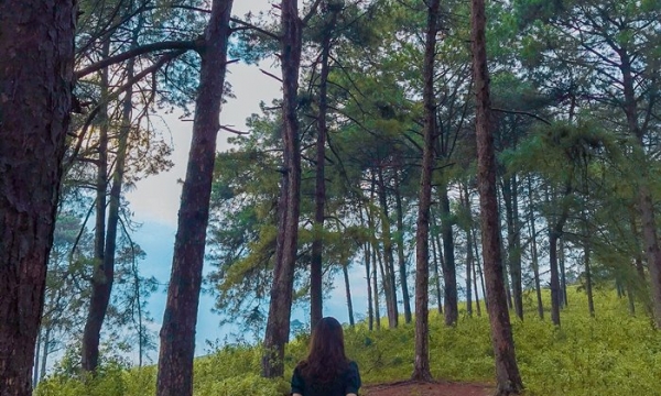 Tìm về bình yên nơi đồi thông Khau Lừa, “góc Đà Lạt” cực chill