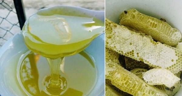 Du lịch Hà Giang nhớ tặng mật ong bạc hà cho miền xuôi