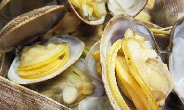 Con ngán Quảng Ninh - Tên ngán mà lại không ngán tí nào
