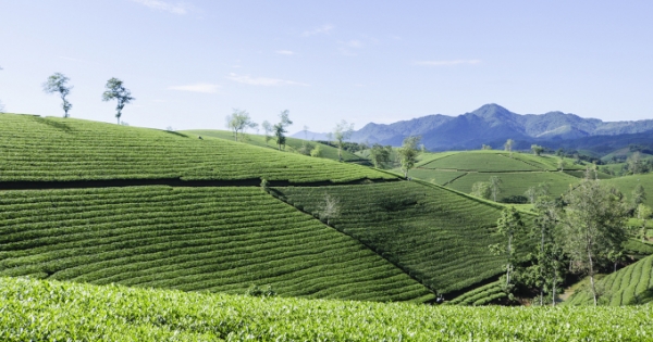 Phú Thọ ứng dụng công nghệ hỗ trợ quảng bá du lịch