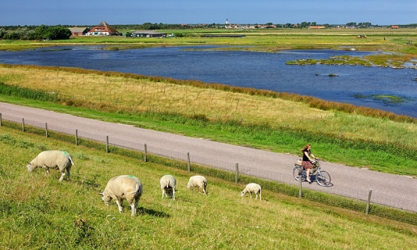 Một ngày cuối tuần hoàn hảo trên đảo Texel, Hà Lan