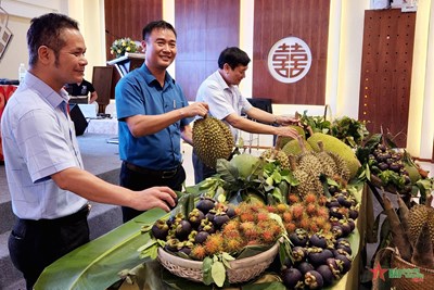 Trải nghiệm cuộc sống du mục, cắm trại, dù lượn tại Lễ hội Trái cây Khánh Sơn 2022