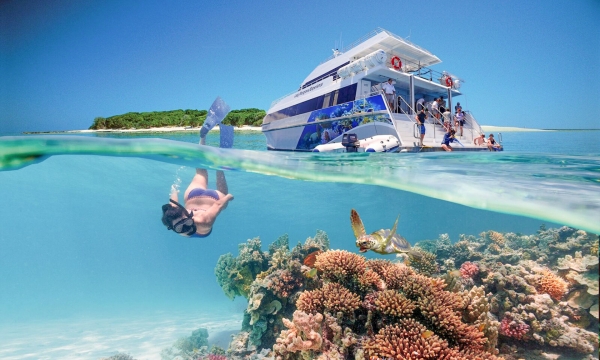 Kinh nghiệm du lịch đến Rạn san hô Great Barrier