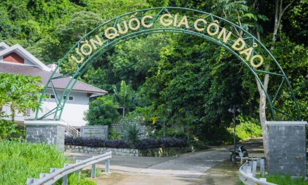 Vườn Quốc gia Côn Đảo - Thiên đường xanh giữa biển