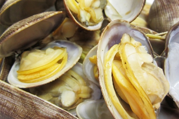 Con ngán Quảng Ninh - Tên ngán mà lại không ngán tí nào