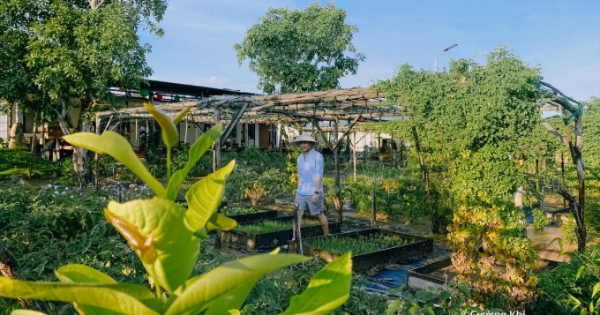 'Thị trấn xanh' đẹp hút hồn, tách biệt với Nha Trang
