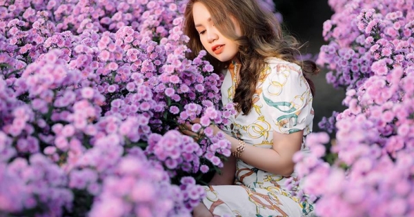 Khám phá cánh đồng thạch thảo tím ở Vũng Tàu