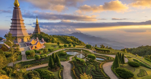 Khách sạn trên cây tại Chiang Mai - ngại gì không thử