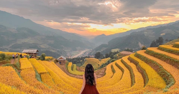 Top 5 địa điểm ngắm mùa lúa chín đẹp nhất nước ta