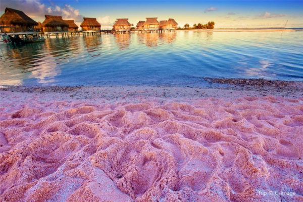 Du lịch Bahamas không thể bỏ qua những địa điểm này